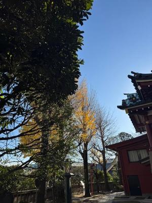 小栗彩矢の写メ日記｜ローテンブルク 吉原高級店ソープ