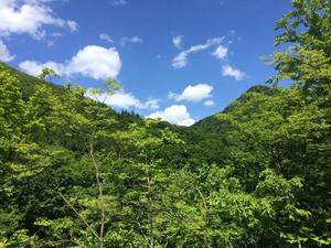 小栗彩矢の写メ日記｜ローテンブルク 吉原高級店ソープ