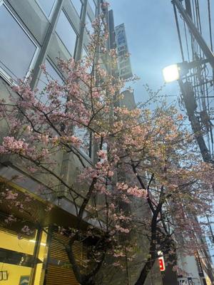 小栗彩矢の写メ日記｜ローテンブルク 吉原高級店ソープ