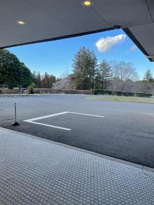 小栗彩矢の写メ日記｜ローテンブルク 吉原高級店ソープ