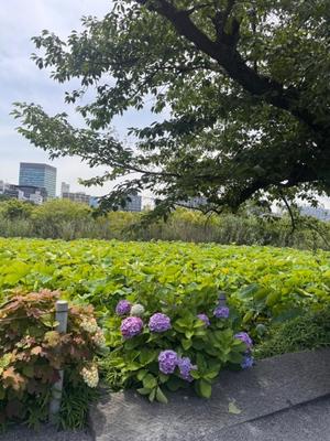 小栗彩矢の写メ日記|ローテンブルク 吉原高級店ソープ