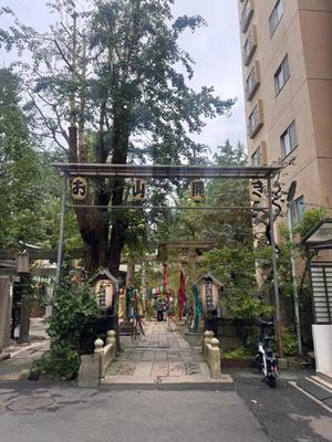 小栗彩矢の写メ日記|ローテンブルク 吉原高級店ソープ