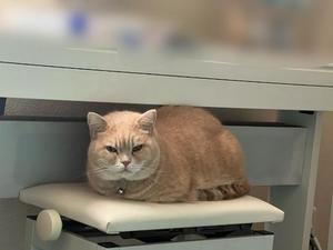 風見優花の写メ日記｜ローテンブルク 吉原高級店ソープ