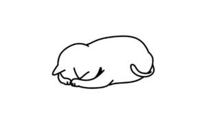 百瀬心結の写メ日記|ローテンブルク 吉原高級店ソープ