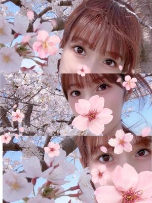 百瀬心結の写メ日記｜ローテンブルク 吉原高級店ソープ