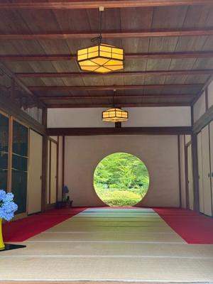 杉咲里歩の写メ日記｜ローテンブルク 吉原高級店ソープ
