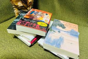 石川あさ美の写メ日記｜ローテンブルク 吉原高級店ソープ