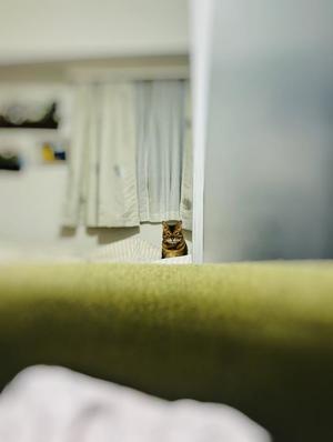 石川あさ美の写メ日記｜ローテンブルク 吉原高級店ソープ