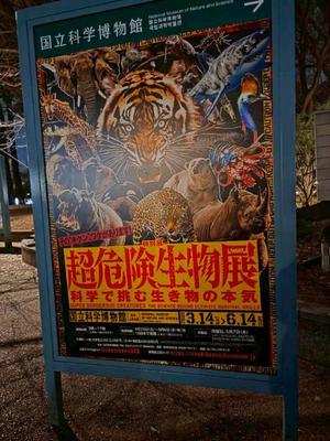 石野里実の写メ日記｜ローテンブルク 吉原高級店ソープ