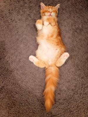 川原すずかの写メ日記｜ローテンブルク 吉原高級店ソープ