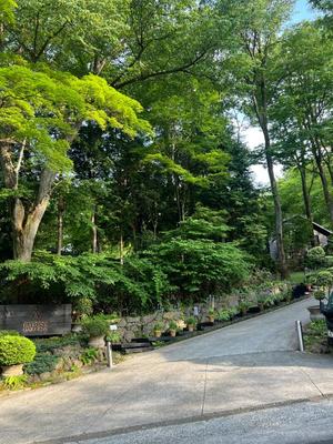 若尾留里の写メ日記｜ローテンブルク 吉原高級店ソープ