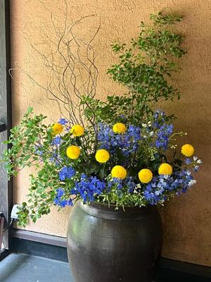 若尾留里の写メ日記｜ローテンブルク 吉原高級店ソープ