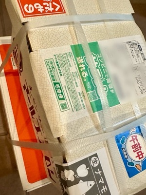 早乙女りえの写メ日記｜ローテンブルク 吉原高級店ソープ