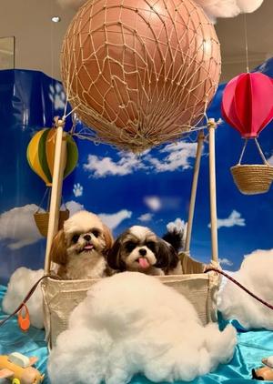 早乙女りえの写メ日記｜ローテンブルク 吉原高級店ソープ