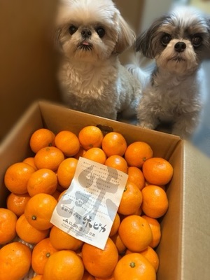 早乙女りえの写メ日記｜ローテンブルク 吉原高級店ソープ