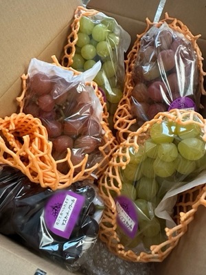 早乙女りえの写メ日記｜ローテンブルク 吉原高級店ソープ