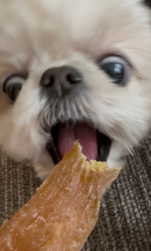 早乙女りえの写メ日記｜ローテンブルク 吉原高級店ソープ