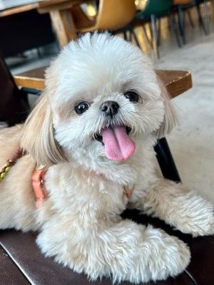 早乙女りえの写メ日記｜ローテンブルク 吉原高級店ソープ