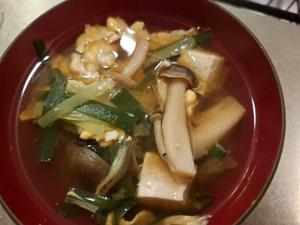 胡蝶 蘭の写メ日記｜ローテンブルク 吉原高級店ソープ