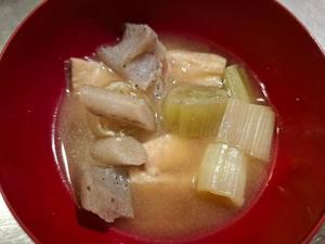 胡蝶 蘭の写メ日記｜ローテンブルク 吉原高級店ソープ
