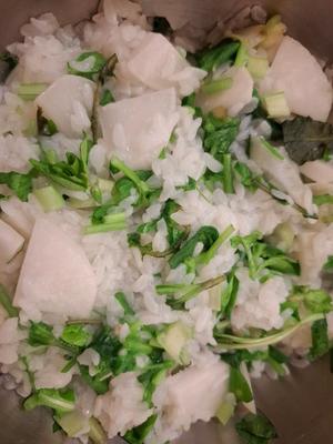 胡蝶 蘭の写メ日記｜ローテンブルク 吉原高級店ソープ