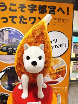 森川すみれの写メ日記｜ローテンブルク 吉原高級店ソープ