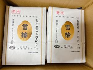 森川すみれの写メ日記｜ローテンブルク 吉原高級店ソープ