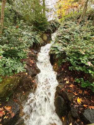 森川すみれの写メ日記｜ローテンブルク 吉原高級店ソープ