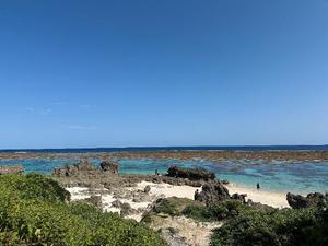 森川すみれの写メ日記｜ローテンブルク 吉原高級店ソープ