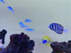 森川すみれの写メ日記｜ローテンブルク 吉原高級店ソープ