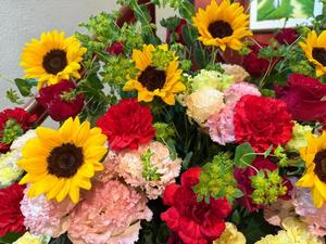 森川すみれの写メ日記｜ローテンブルク 吉原高級店ソープ