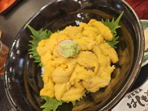 鳴沢ひろこの写メ日記｜ローテンブルク 吉原高級店ソープ