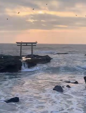 鳴沢ひろこの写メ日記｜ローテンブルク 吉原高級店ソープ