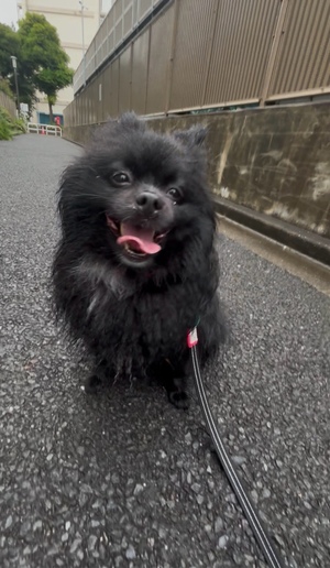 藤谷香文の写メ日記｜ローテンブルク 吉原高級店ソープ