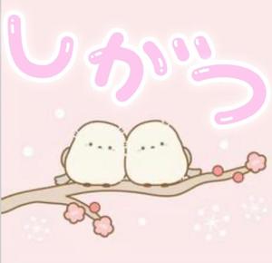 一之瀬 茜の写メ日記｜ローテンブルク 吉原高級店ソープ