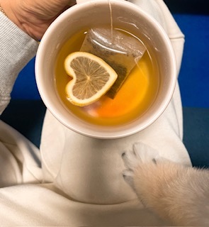 さゆりの写メ日記｜ローテンブルク 吉原高級店ソープ