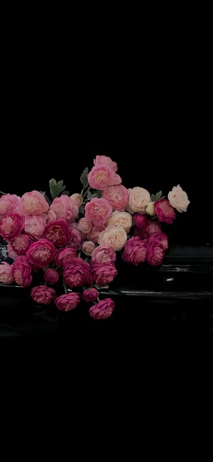 さゆりの写メ日記｜ローテンブルク 吉原高級店ソープ