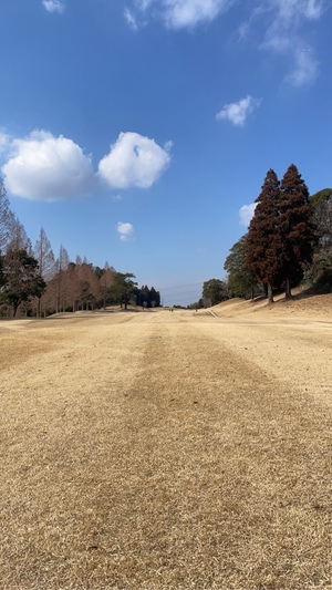 紀香の写メ日記｜ローテンブルク 吉原高級店ソープ