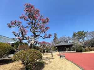紀香の写メ日記｜ローテンブルク 吉原高級店ソープ