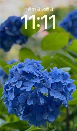 紀香の写メ日記｜ローテンブルク 吉原高級店ソープ