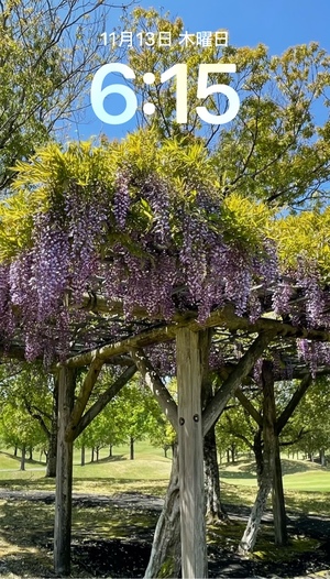 紀香の写メ日記｜ローテンブルク 吉原高級店ソープ