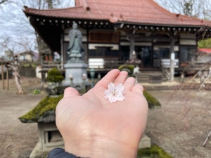紀香の写メ日記｜ローテンブルク 吉原高級店ソープ