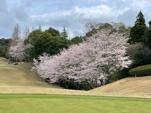 紀香の写メ日記｜ローテンブルク 吉原高級店ソープ
