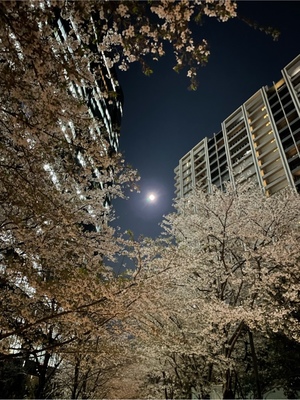 紀香の写メ日記｜ローテンブルク 吉原高級店ソープ