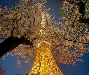 紀香の写メ日記｜ローテンブルク 吉原高級店ソープ