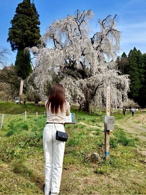 紀香の写メ日記｜ローテンブルク 吉原高級店ソープ