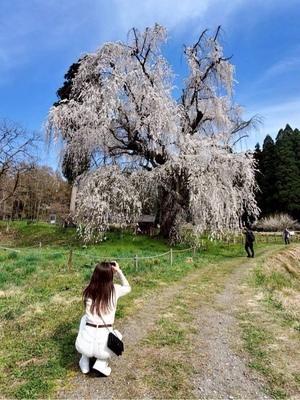 紀香の写メ日記｜ローテンブルク 吉原高級店ソープ