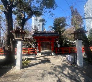 安西めぐみの写メ日記｜ローテンブルク 吉原高級店ソープ