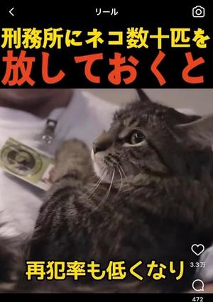 安西めぐみの写メ日記｜ローテンブルク 吉原高級店ソープ