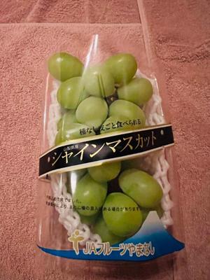 安西めぐみの写メ日記｜ローテンブルク 吉原高級店ソープ